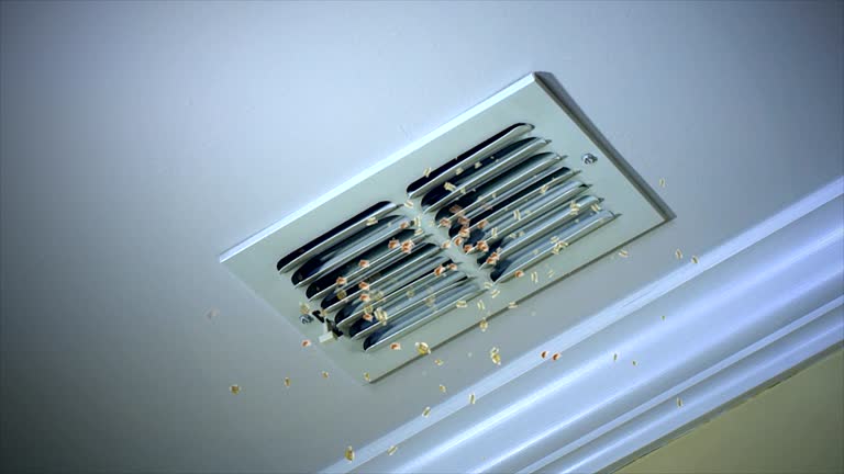 Best Affordable Air Duct Cleaning  in Interlaken, CA