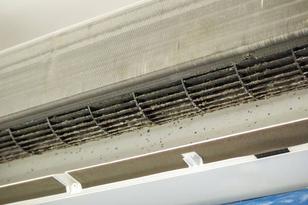 Best Residential Air Duct Cleaning  in Interlaken, CA