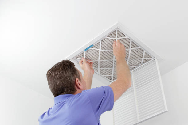 Air Duct Mold Removal in Interlaken, CA